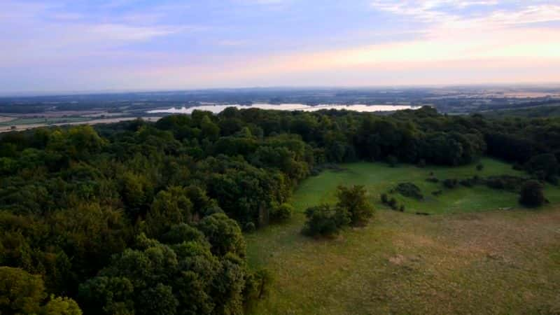 ¼ƬȻΰҴ Oak Tree: Nature's Greatest SurvivorĻ/Ļ