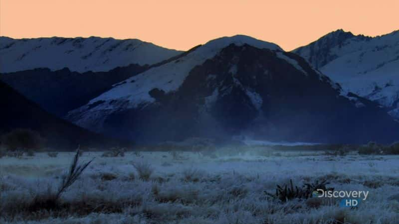 ¼Ƭ˪ New Zealand FrostĻ/Ļ