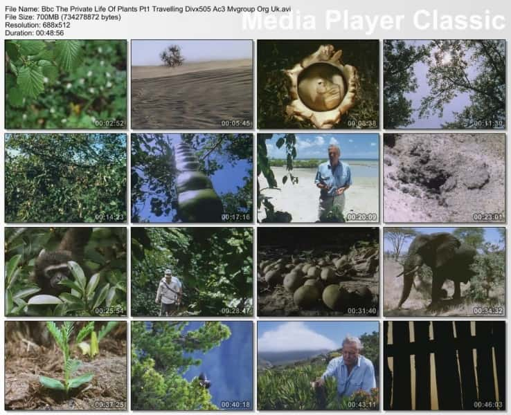 纪录片《植物的私生活 The Private Life of Plants》全6集[无字][BT][720P][DVD][资源下载]