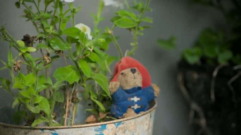 ¼Ƭܣܱ Paddington: The Man Behind the Bearȫ1-Ļ/Ļ