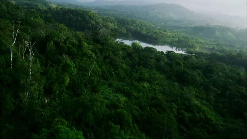 纪录片《巴拿马运河——通往美国世纪的门户 Panama Canal - Gateway to the American Century》[无字][BT][720P]资源下载