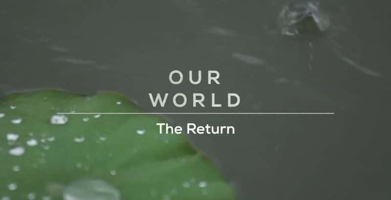 纪录片《回归（BBC 我们的世界） The Return (BBC Our World)》[无字][BT][720P]资源下载