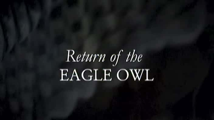 纪录片《雕鸮归来 Return of the Eagle Owl》[无字][BT][720P]资源下载