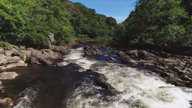 纪录片《河流：泰伊人一生的一年 The River: A Year in the Life of the Tay》[无字][BT][720P]资源下载