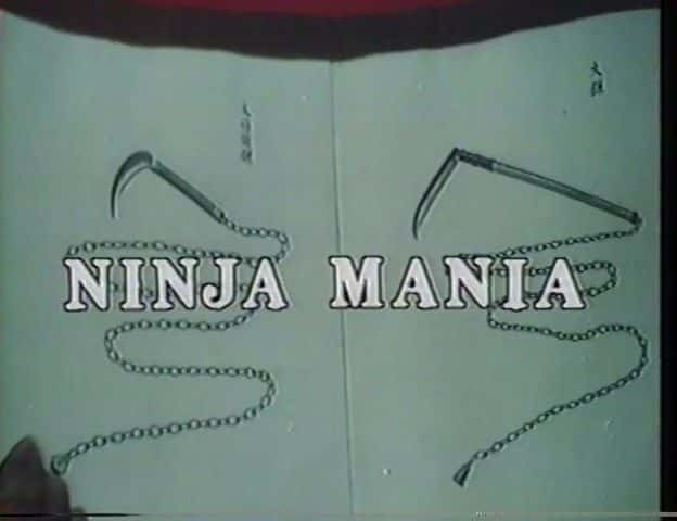 ¼Ƭ߿ Ninja ManiaĻ/Ļ