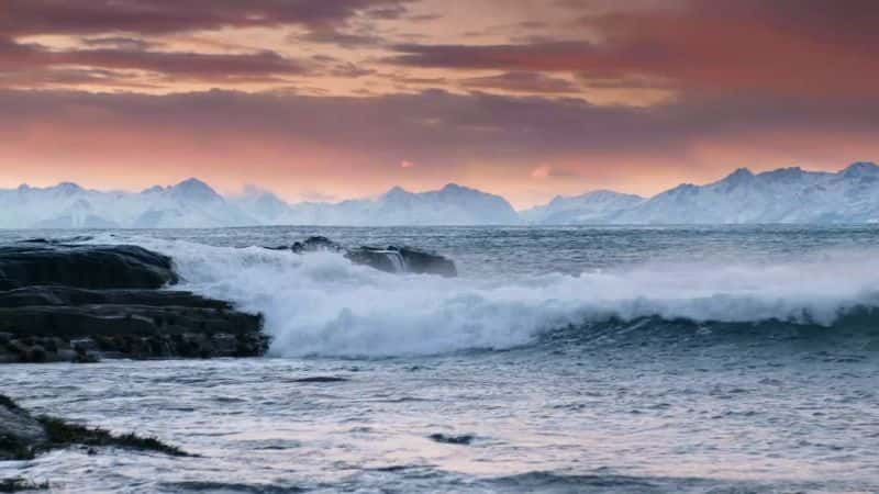 ¼ƬŲϿ壺ĺɫе The Norwegian Fjords: Life in the Twilight1080P-Ļ/Ļ