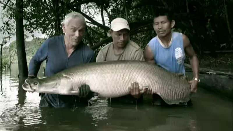 ¼Ƭӹֵļ River Monsters Season 4Ļ/Ļ