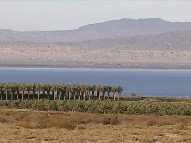 ¼ƬٺĻ뻶 Plagues and Pleasures on the Salton SeaĻ/Ļ