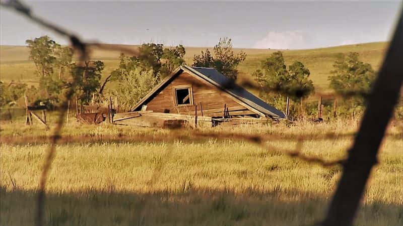 纪录片《野牛回归恢复美国大草原 Return of the Buffalo Restoring American prairie》[无字][BT][1080P]资源下载