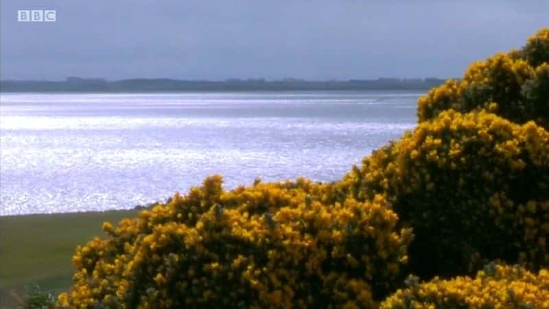 纪录片《人迹罕至的道路：萨瑟兰·凯斯内斯和奥克尼群岛 Roads Less Travelled: Sutherland Caithness and Orkney》[无字] [BT][DVD画质]资源下载