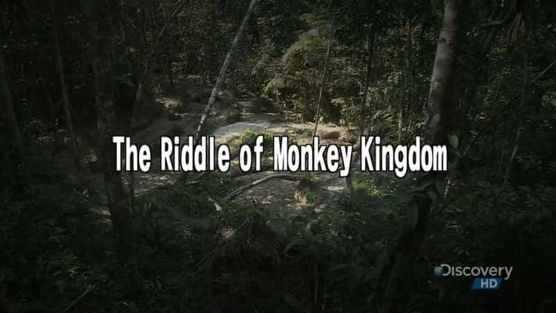 纪录片《猴子王国之谜 The Riddle of Monkey Kingdom》[无字] [BT][DVD画质]资源下载