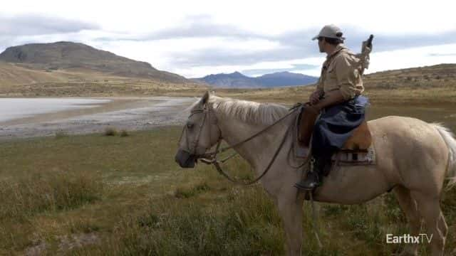 纪录片《巴塔哥尼亚公园：野外之旅 Patagonia Park: A Journey into the Wild》[无字][BT][720P]资源下载