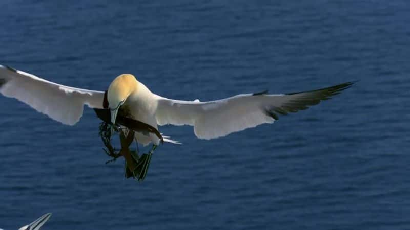 ¼Ƭǵĺ The North Sea - Our SeaĻ/Ļ