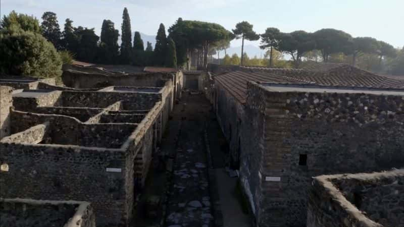 ¼Ƭӱųǣ˶ Pompeii: With Michael BuerkĻ/Ļ