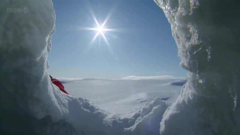 ¼ƬһҺ The Polar Bear Family and Meȫ3-Ļ/Ļ