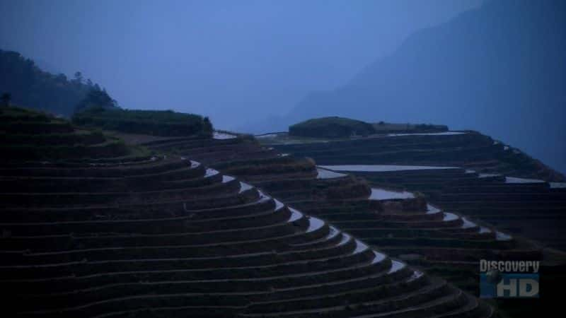 ¼Ƭƽ PingAn Rice PaddiesĻ/Ļ