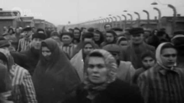 纪录片《奥斯威辛集中营的破坏活动 Sabotage in Auschwitz》[无字] [BT][DVD画质]资源下载