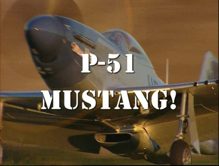 ¼ƬP-51 Ұ P-51 MustangĻ/Ļ