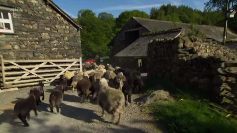 ¼Ƭա˼شׯϵ 1 Penelope Keith's Hidden Villages: Series 1Ļ/Ļ