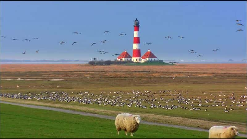 ¼Ƭǵĺ The North Sea - Our SeaĻ/Ļ