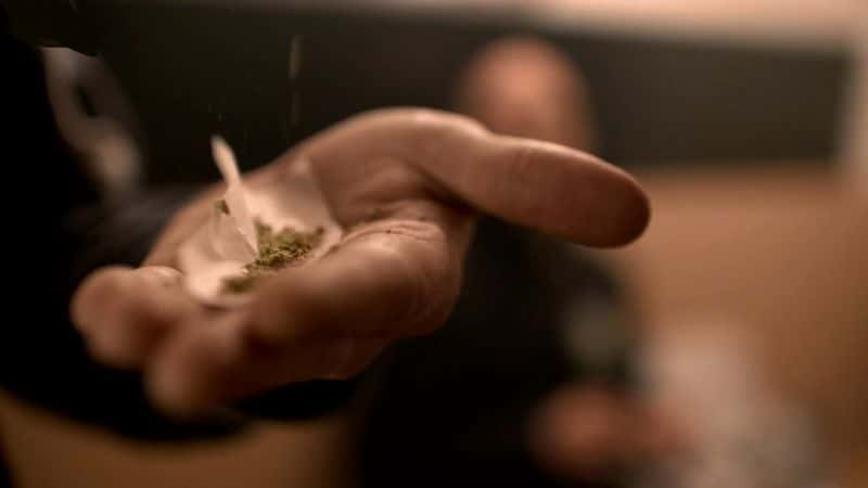 ¼ƬֽڣǴϷʱ Professor Green: Is It Time to Legalise Weed?Ļ/Ļ