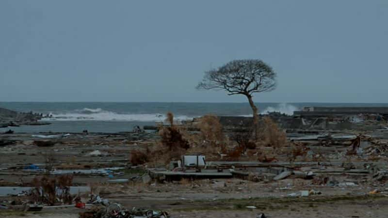 ¼Ƭ -  No Man's Zone: Fukushima - The Day After1080P-Ļ/Ļ