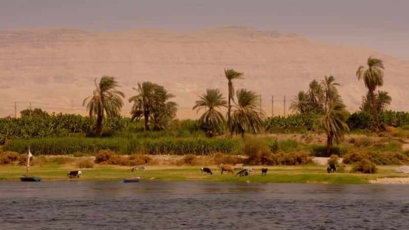 ¼Ƭ޺:: 5000 ʷ The Nile:: 5000 Years of History1080P-Ļ/Ļ