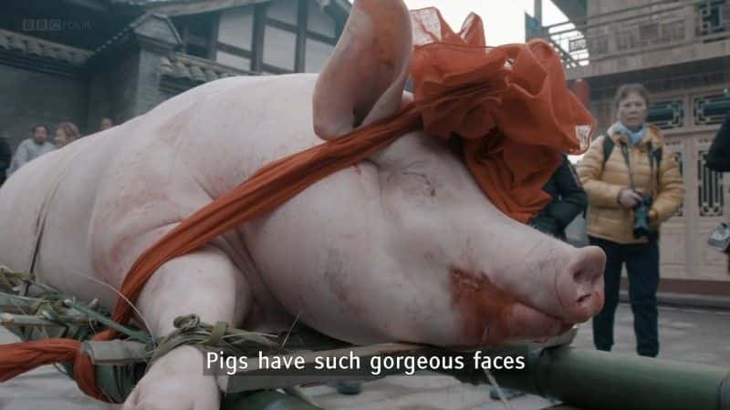 ¼ƬOink˰ Oink: Man Loves Pigȫ1-Ļ/Ļ