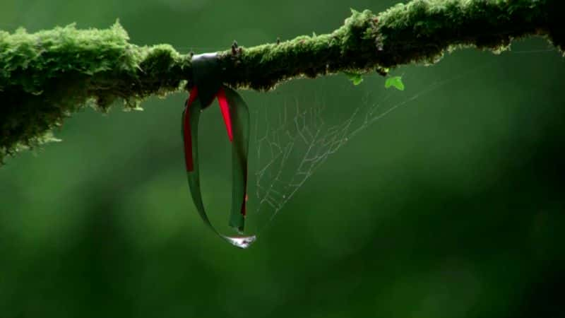 ¼ƬӢʥ漣 (BBC) Sacred Wonders of Britain (BBC)1080P-Ļ/Ļ