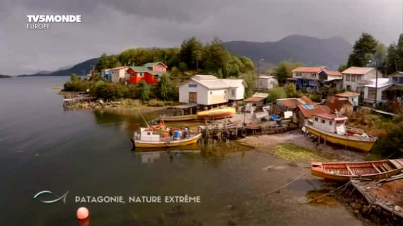 ¼Ƭ᣺Ȼ Patagonie: Nature Extremeȫ1-Ļ/Ļ