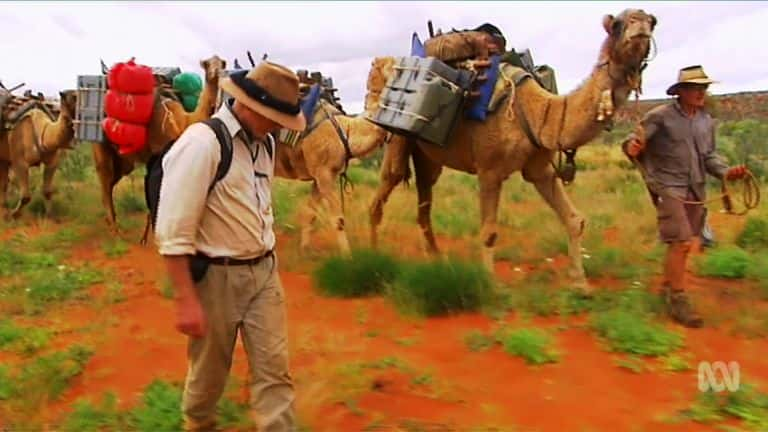 ¼ƬĴǵտ Running Wild Australia's CamelsĻ/Ļ