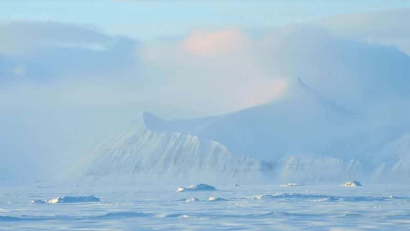 ¼ƬһҺ The Polar Bear Family and Meȫ3-Ļ/Ļ