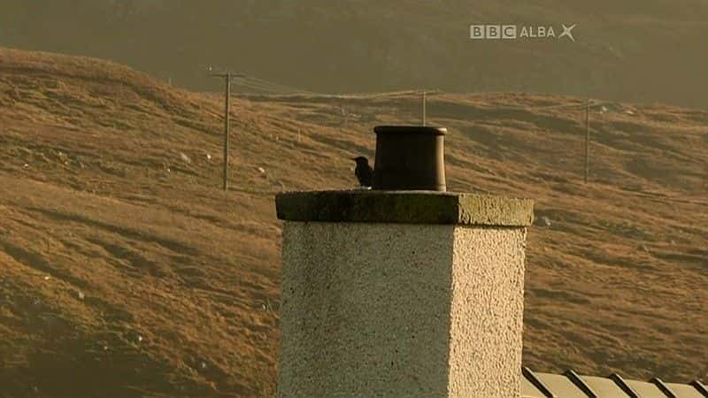 ¼Ƭ״⣨BBC Off Radar (BBC)1080Pȫ1-Ļ/Ļ