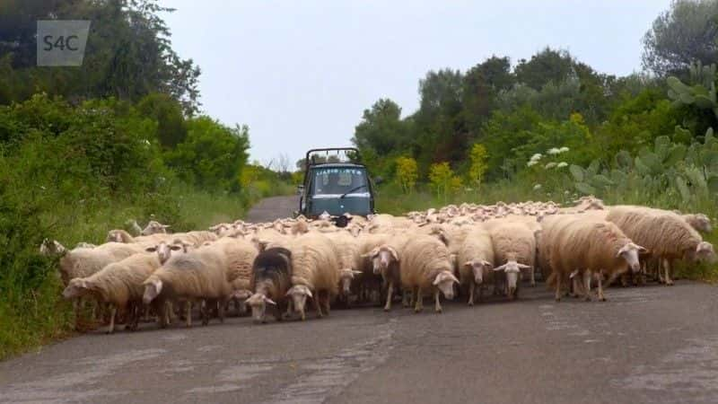 ¼ƬO Drefeglwys  O Drefeglwys i Sardiniaȫ1-Ļ/Ļ