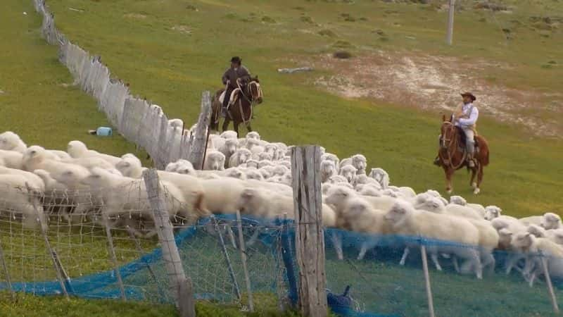 ¼Ƭǣ׷˹ĵĽŲ Patagonia: In the Footsteps of Charles Darwin1080P-Ļ/Ļ