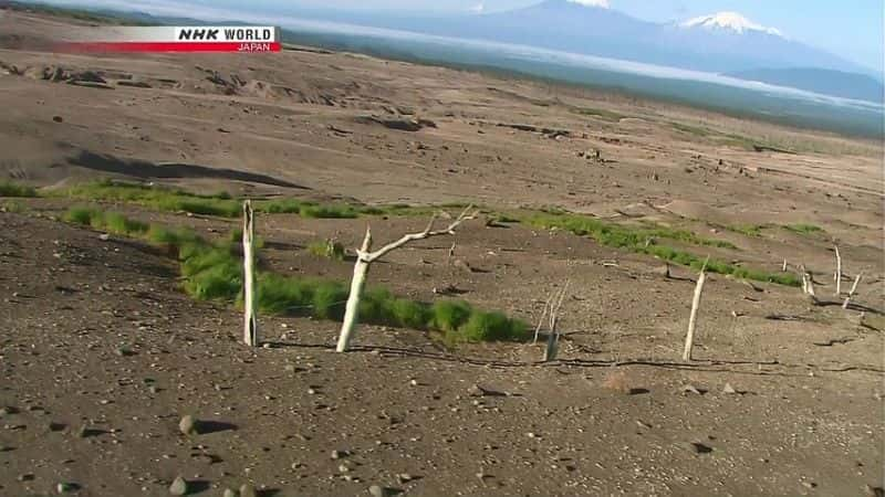 ¼Ƭ˹Ļ֮ģӰ뵺 Russia's Heart of Fire: The Kamchatka Peninsulaȫ1-Ļ/Ļ