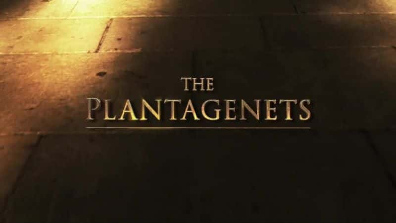 纪录片《金雀花王朝：学习区 The Plantagenets: Learning Zone》[无字][BT][720P]资源下载