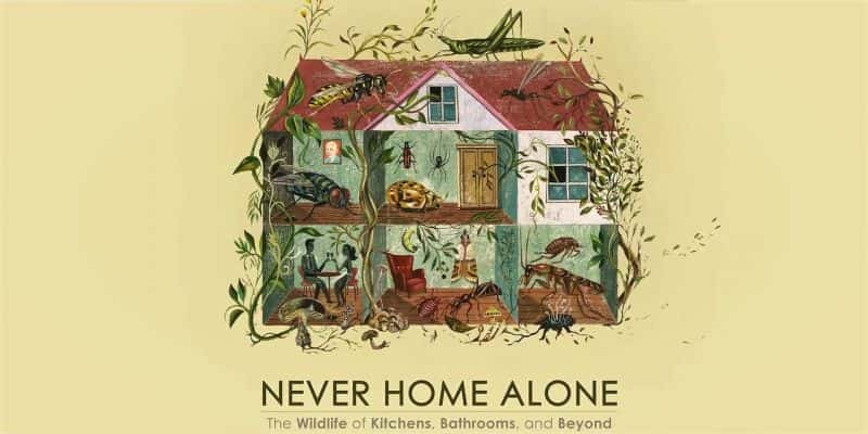 纪录片《永远不要独自在家：厨房、浴室及其他地方的野生动物 Never Home Alone: The Wildlife of Kitchens, Bathrooms, and Beyond》[无字] [BT][DVD画质]资源下载