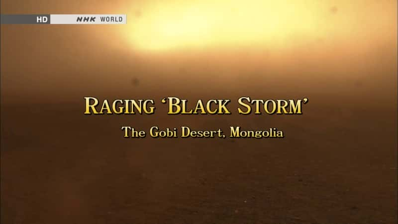 纪录片《黑色风暴肆虐：蒙古 Raging Black Storm: Mongolia》[无字] [BT][DVD画质]资源下载