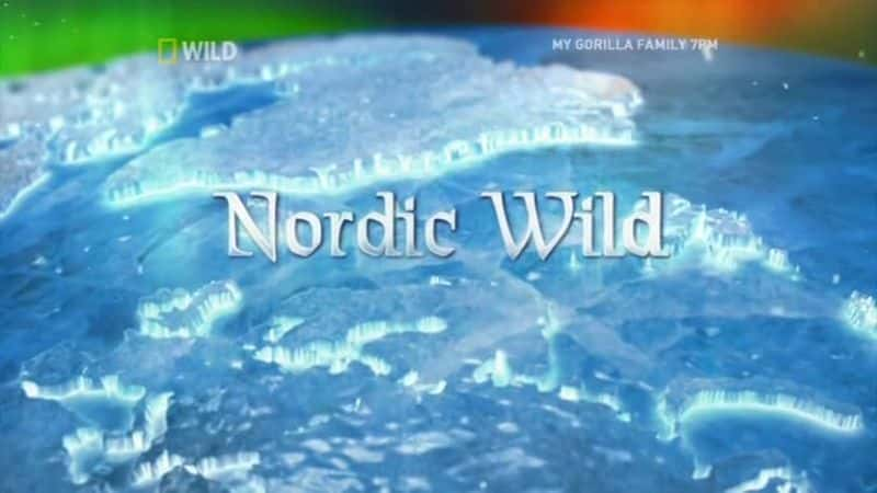 ¼ƬŷҰ Nordic WildĻ/Ļ