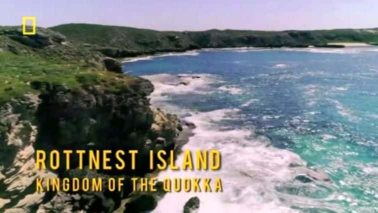 纪录片《罗特内斯特岛短尾矮袋鼠王国 Rottnest Island Kingdom of the Quokka》[无字][BT][720P]资源下载