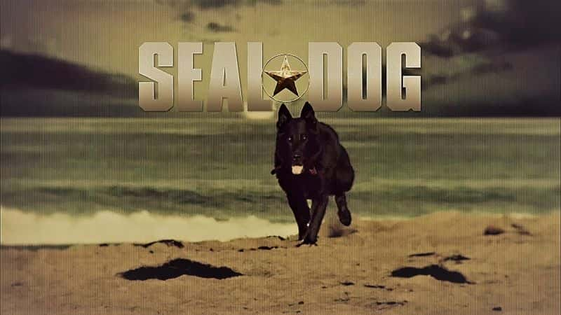 纪录片《海豹犬 SEAL Dog》[无字][BT][720P]资源下载