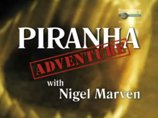 ¼Ƭʳð Piranha AdventureĻ/Ļ