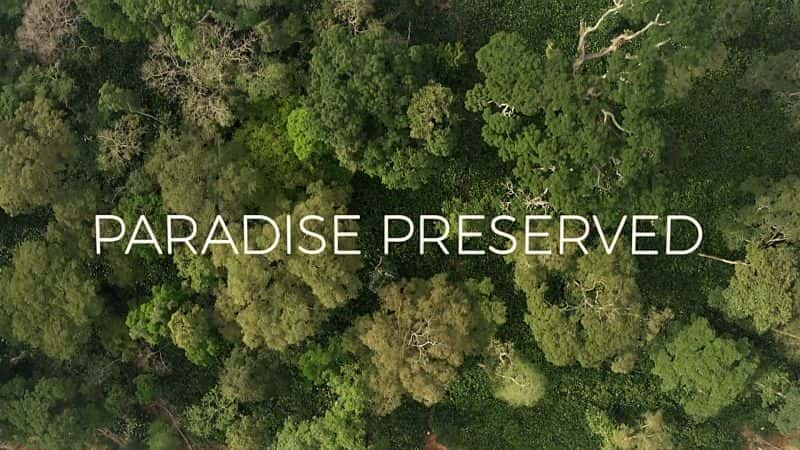 ¼Ƭػߣϵ 1 Paradise Preserved: Series 11080P-Ļ/Ļ