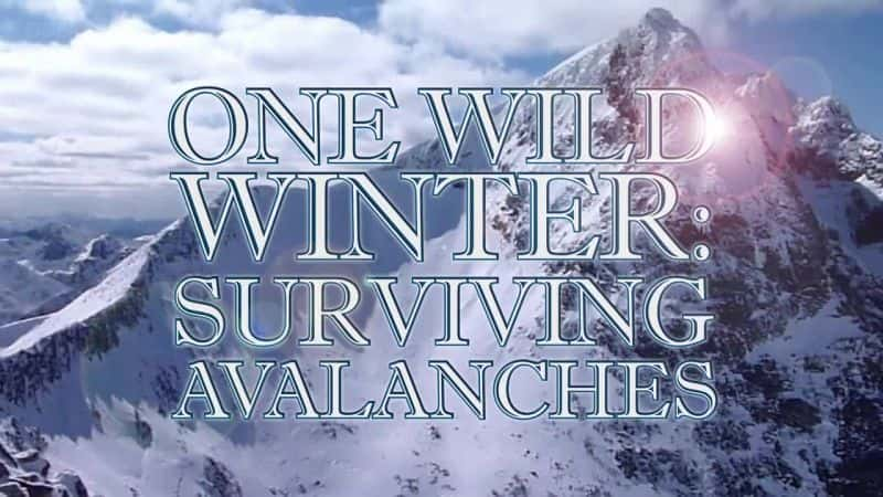 ¼ƬҰĶ죺ѩҴ One Wild Winter: Surviving AvalanchesĻ/Ļ