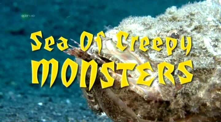 纪录片《令人毛骨悚然的怪物之海 Sea of Creepy Monsters》[无字][BT][DVD]资源下载