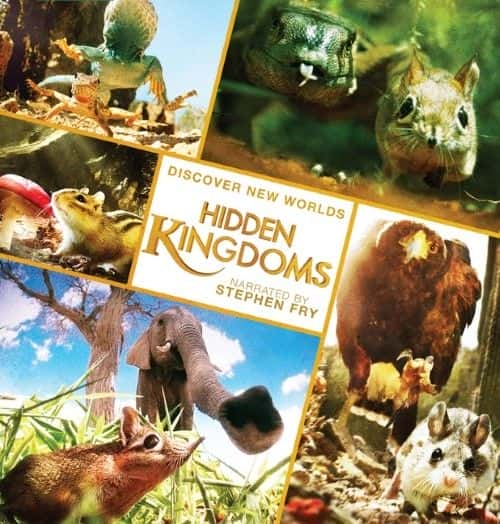 ¼Ƭص (BBC) Hidden Kingdoms (BBC)1080Pȫ3-Ļ/Ļ