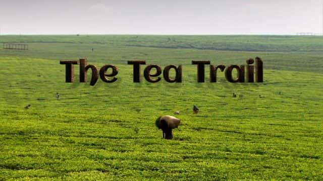 纪录片《茶道 (BBC) The Tea Trail (BBC)》[无字][BT][720P]资源下载