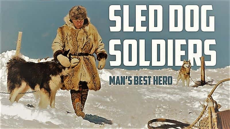 纪录片《雪橇狗士兵 Sled Dog Soldiers》[无字] [BT][DVD画质]资源下载