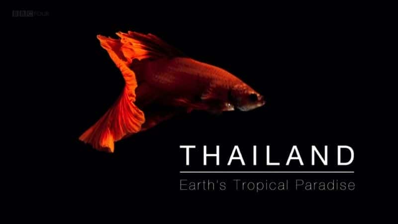 纪录片《泰国：地球上的热带天堂 (BBC) Thailand: Earth's Tropical Paradise (BBC)》[无字][BT][720P]资源下载